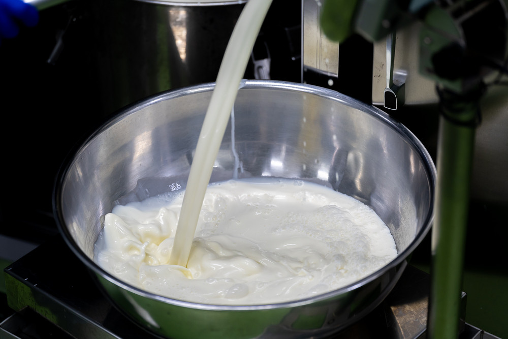 しぼりたての生乳を使用。鮮度の高い良質なアイスができます！