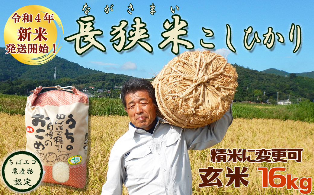 自然栽培 玄米 14kg 2023年産 コシヒカリ