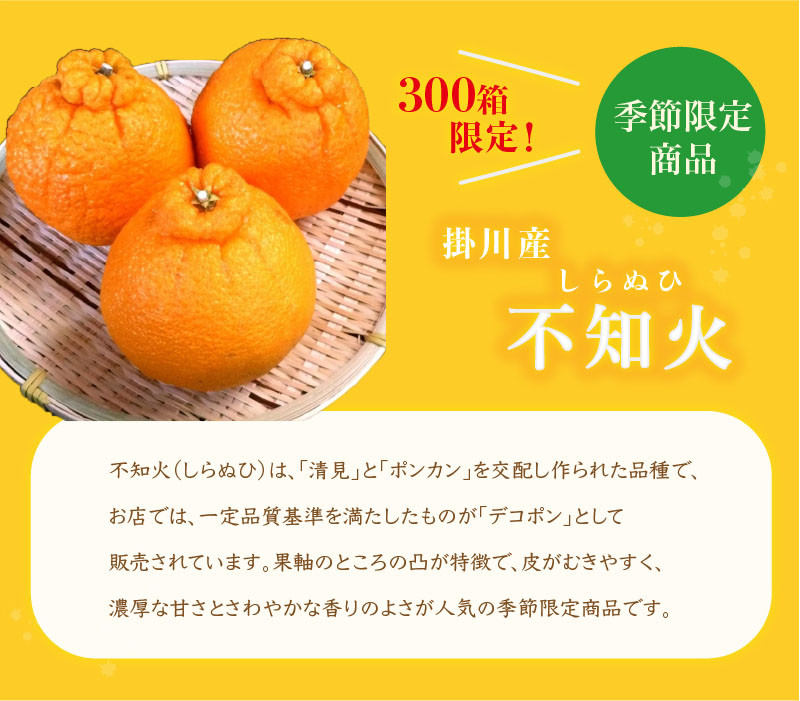 ５２０３ 掛川産 不知火 シラヌヒ １２ ２４玉 1箱 約4 ９ｋｇ ５ｋｇ 令和5年1月中旬からの発送 ギフト 愛称デコポン しらぬい マルケン大石農園 静岡県掛川市 ふるさとチョイス ふるさと納税サイト