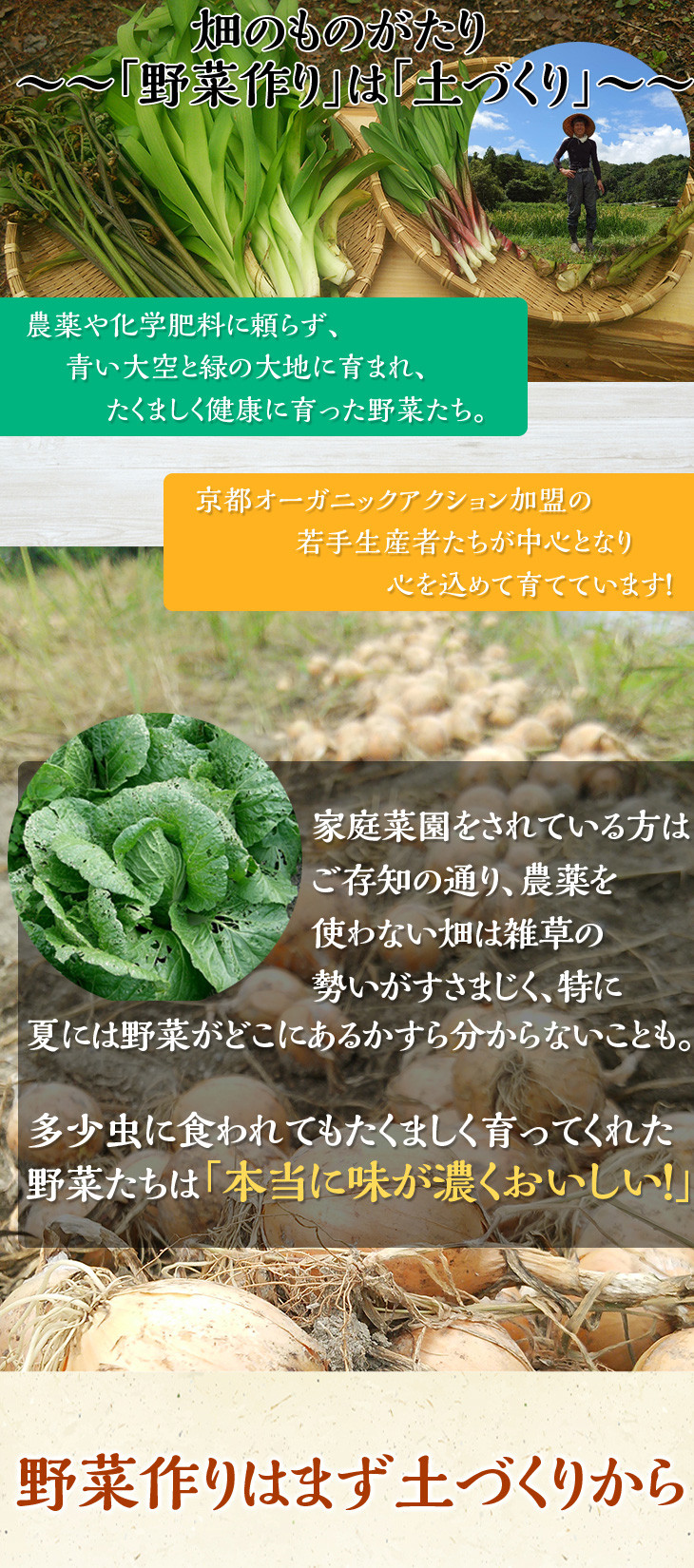 アスカ有機農園 栽培期間中農薬 化学肥料不使用 旬の京野菜セットL 月間MVPふるさと納税賞 SDGs未来都市亀岡※2022年5月より順次発送予定  2020年10月 初回分 毎月お届け全１２回 平飼い卵付 第1号