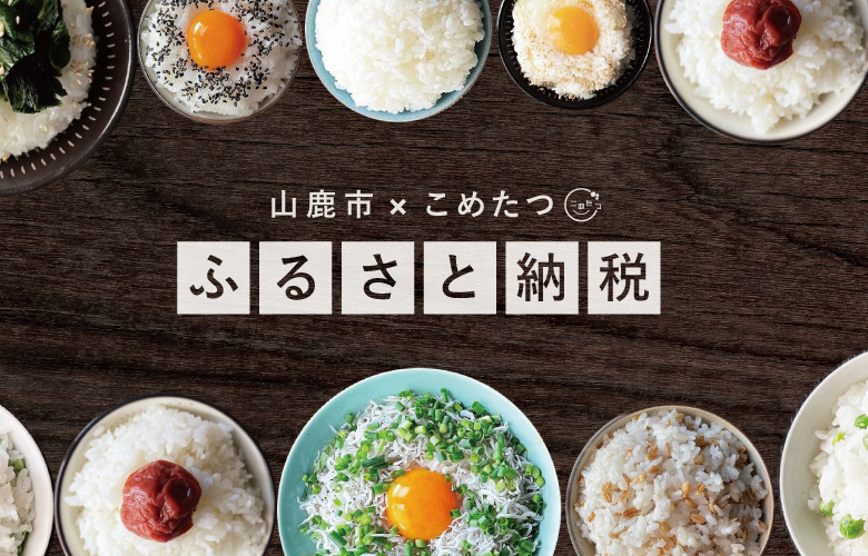 No.549 定期便 3カ月 森のくまさん 無洗米 12kg 令和4年 熊本県産 ／ お米 新米 ごはん 熊本県 - 熊本県山鹿市｜ふるさとチョイス  - ふるさと納税サイト