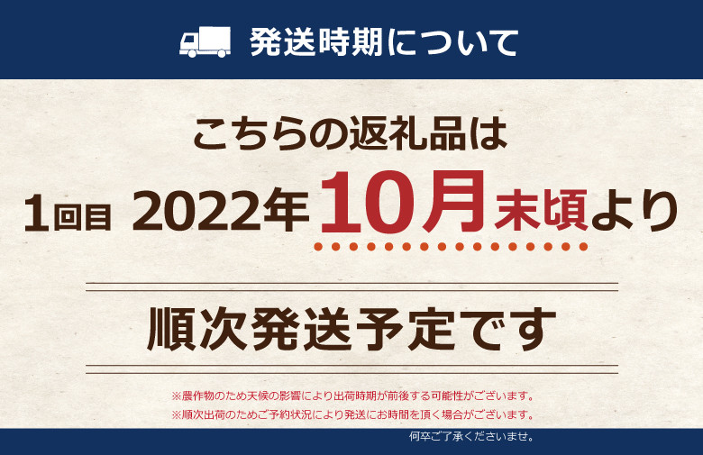 No.549 定期便 3カ月 森のくまさん 無洗米 12kg 令和4年 熊本県産 ／ お米 新米 ごはん 熊本県 - 熊本県山鹿市｜ふるさとチョイス  - ふるさと納税サイト