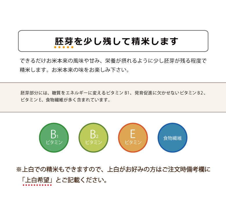 No.552 定期便 3カ月 森のくまさん 白米 18kg 令和4年 熊本県産 ／ お米 新米 ごはん 熊本県 - 熊本県山鹿市｜ふるさとチョイス -  ふるさと納税サイト