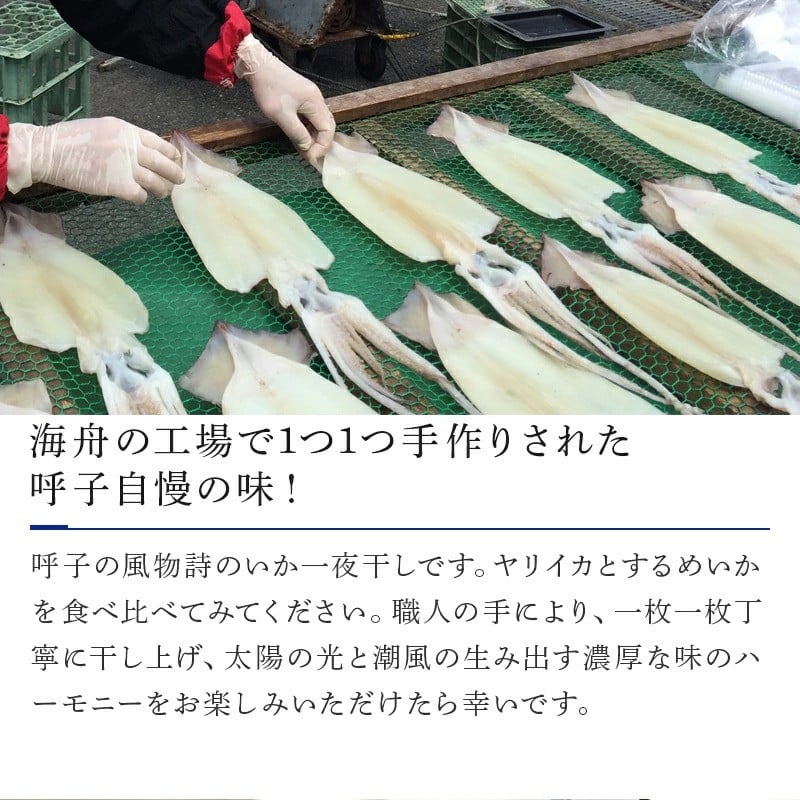 海舟】 一夜干し食べ比べセット 「2022年 令和4年」 - 佐賀県唐津市｜ふるさとチョイス - ふるさと納税サイト