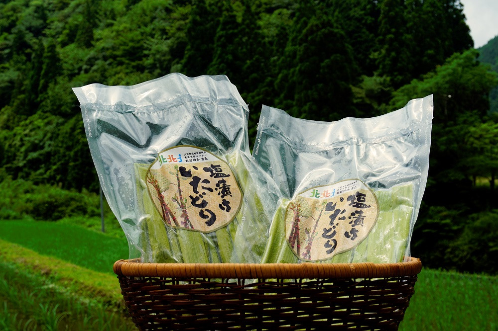 冷凍塩漬けイタドリ250ｇ×５セット　高知県中土佐町｜ふるさとチョイス　ふるさと納税サイト