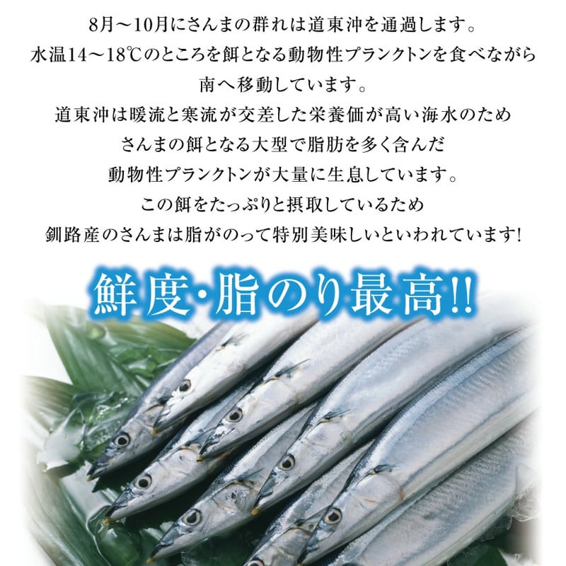 今が旬 鮮度抜群 道東産 鮮さんま 7～9尾 さんま 秋刀魚 サンマ 新鮮 魚 鮮魚 海産物 旬 産地直送 北海道 釧路F4F-0606 - 北海道 釧路市｜ふるさとチョイス - ふるさと納税サイト