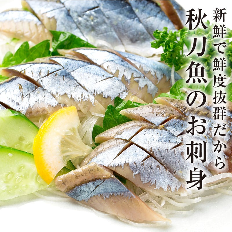 今が旬 鮮度抜群 道東産 鮮さんま 7～9尾 さんま 秋刀魚 サンマ 新鮮 魚 鮮魚 海産物 旬 産地直送 北海道 釧路F4F-0606 -  北海道釧路市｜ふるさとチョイス - ふるさと納税サイト