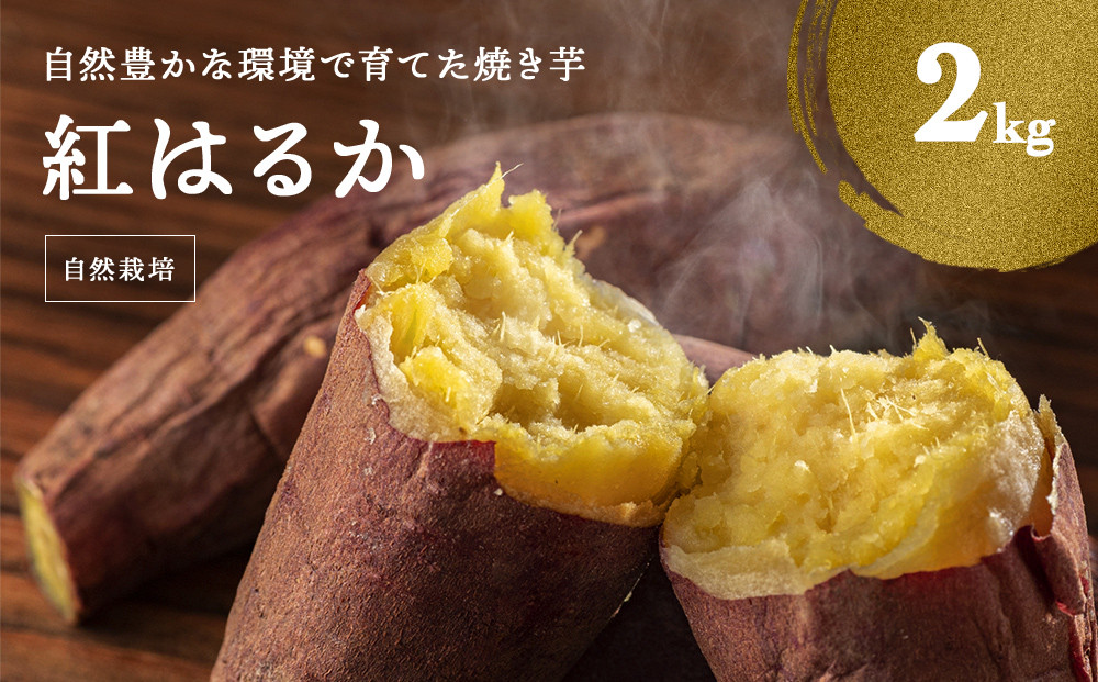 自然豊かな環境で育てた焼き芋　富山県氷見市｜ふるさとチョイス　2kg（紅はるか）　ふるさと納税サイト