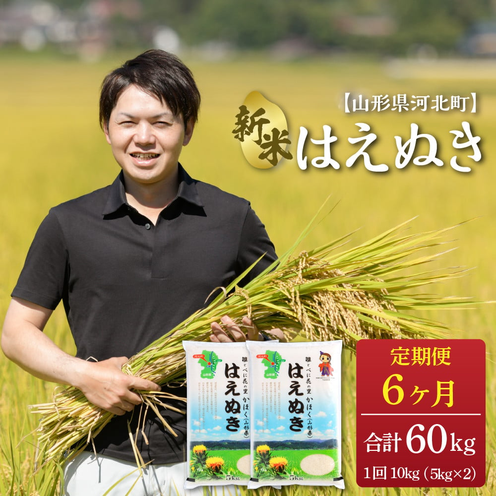 選べる配送時期※はえぬき 60kg（10kg×6ヶ月）定期便【令和4年産】一等米 山形県河北町産 【JAさがえ西村山】 - 山形県河北町｜ふるさとチョイス  - ふるさと納税サイト