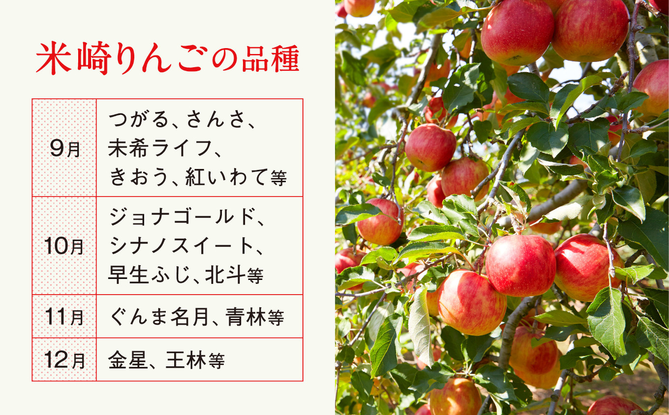青森県産りんご「青林」④