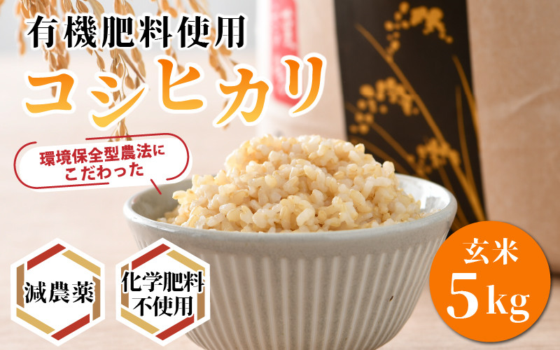 令和4年産】コシヒカリ 玄米 5kg 特別栽培米【食味値80以上！納得の
