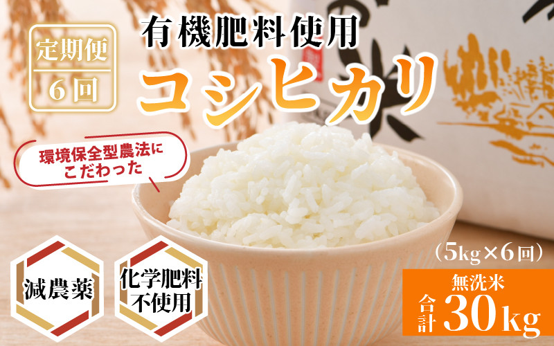令和4年産】《定期便》5kg×6回 30kg コシヒカリ 無洗米 特別栽培米