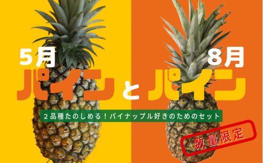 寄付金額 20,000円