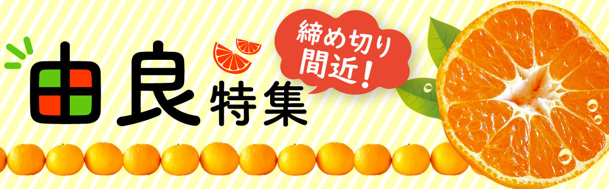 ファッション通販 産地直送 訳あり 西浦 青島みかん B級品 約2kg ご自宅用 - 傷有 不揃い 蜜柑 ミカン www.hotelpr.co.uk