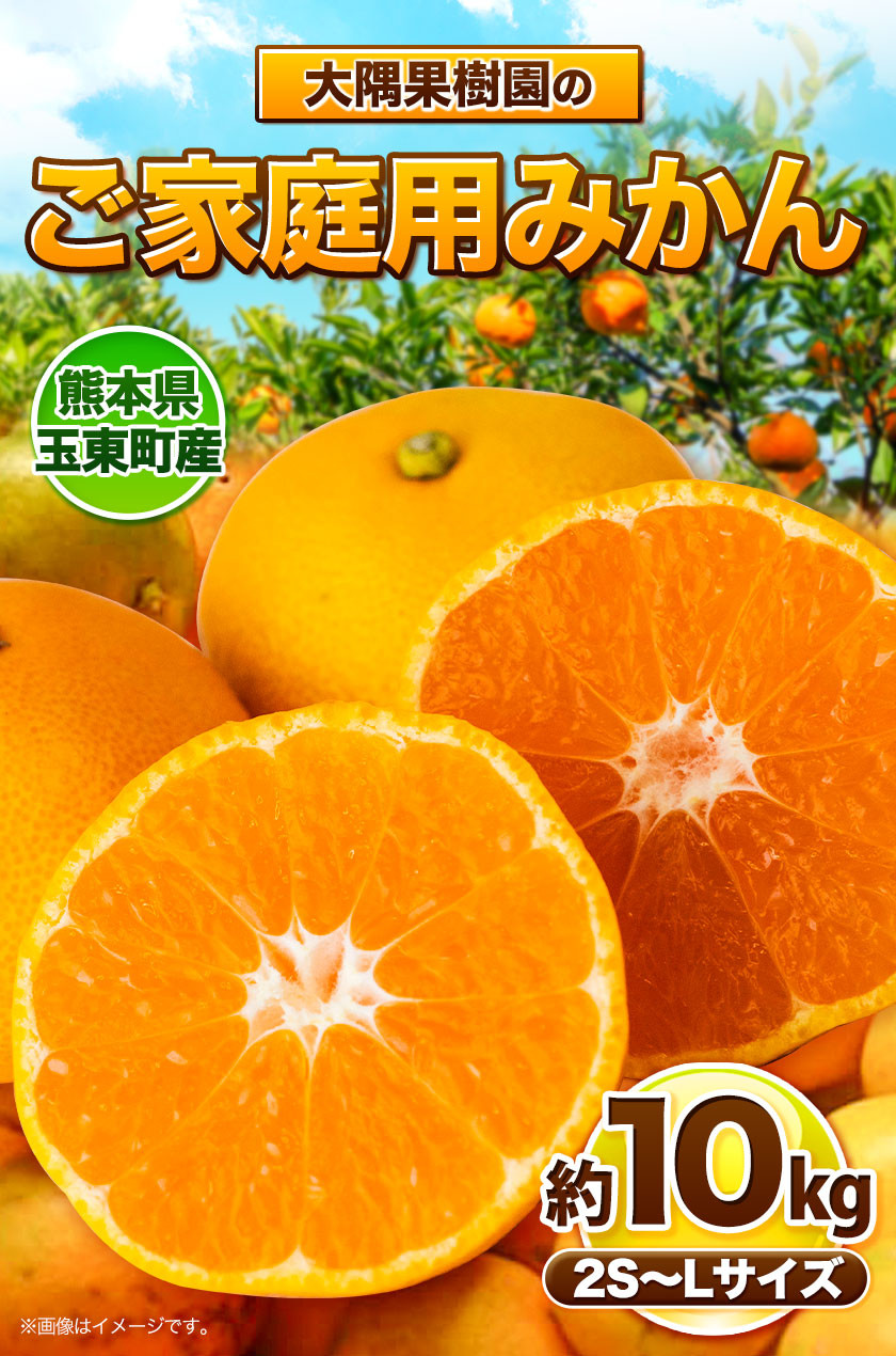 大隅果樹園』のご家庭用みかん 約10kg(2S~Lサイズ) 大隅果樹園《10月下旬-12月下旬頃出荷》熊本県 玉名郡 玉東町 みかん 柑橘 フルーツ  果物 ご家庭用 訳あり - 熊本県玉東町｜ふるさとチョイス - ふるさと納税サイト