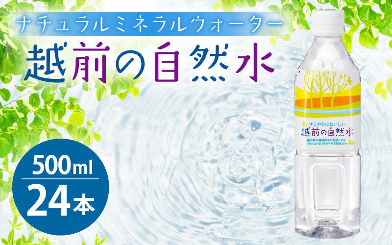 [e20-a013] お水 越前の自然水 ペットボトル 500ml × 24本入り 1ケース【福井県 飲料 水 備蓄 ナチュラルミネラルウォーター】