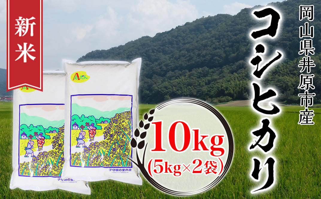 63-04井原市美星町産コシヒカリ10kg(5kg×2袋） - 岡山県井原市｜ふるさとチョイス - ふるさと納税サイト