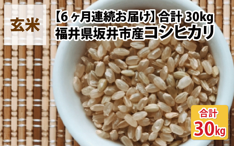 令和6年産・新米】【6ヶ月連続お届け】福井県坂井市丸岡町産 コシヒカリ5kg×6回 計30kg（玄米） [E-11306_02] - 福井県坂井市｜ふるさとチョイス  - ふるさと納税サイト