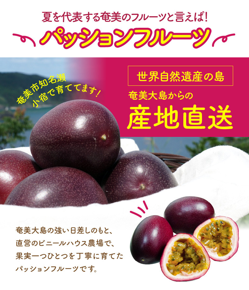 【世界遺産の島より】奄美大島産　無農薬パッションフルーツ　1.2kg