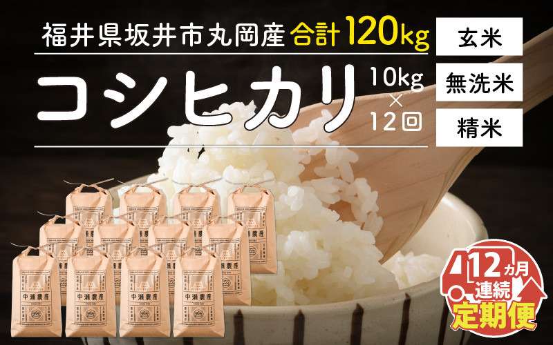 令和4年産】【12ヶ月連続お届け】福井県坂井市丸岡町産 コシヒカリ10kg