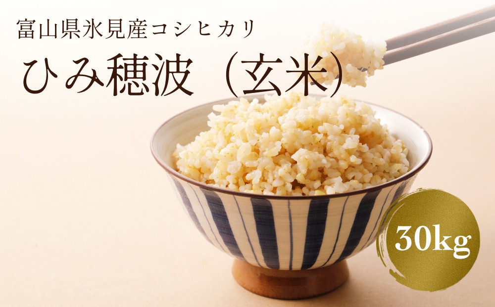 玄米】令和5年産富山県産コシヒカリ《ひみ穂波》30kg - 富山県氷見市