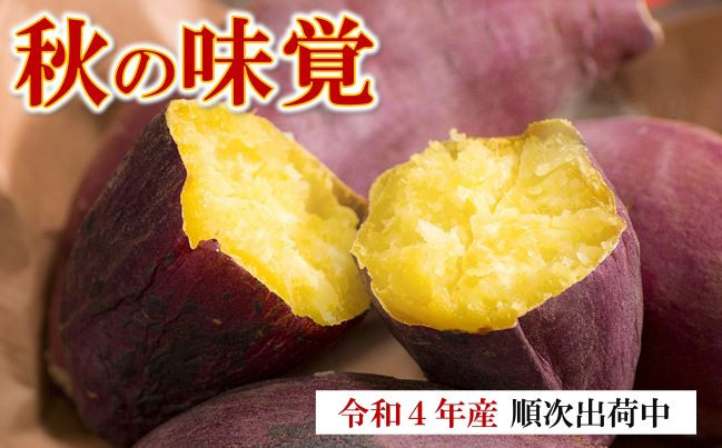 熊本県大津町産 さつまいも 紅はるか １.3キロ以上 粒芋 146