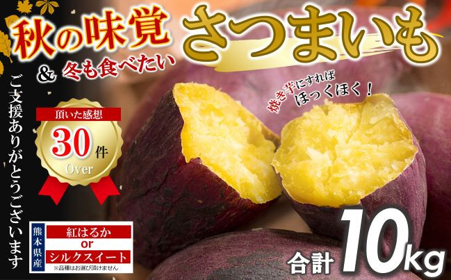 さつまいも10kg 熊本県産 シルクスイート 紅はるか - 熊本県和水町｜ふるさとチョイス - ふるさと納税サイト