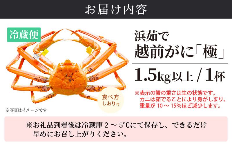 鳥取県琴浦町　通販　ふるさと納税　松葉ガニ（生）1枚（800g以上）《ずわいがに　カニ　420.ブランドタグ付き　かに　蟹》