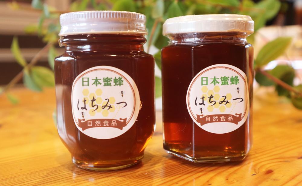 話題の行列 日本蜜蜂ハチミツ 春蜜 濃淡2種類 15g×4 cerkafor.com