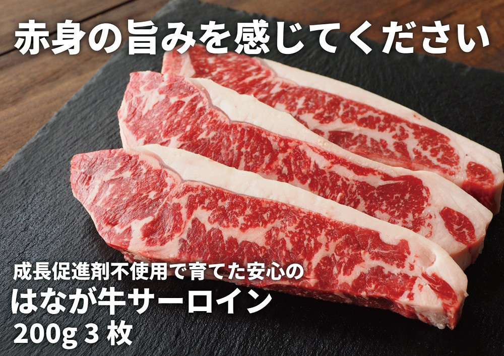 D12】熟成肉はなが牛サーロインステーキ - 愛媛県西予市｜ふるさとチョイス - ふるさと納税サイト