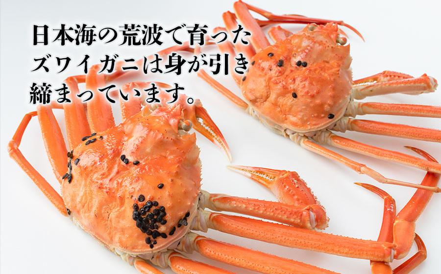 冷凍鼠ヶ関産 ボイルズワイガニ（約400g） 2尾 鶴岡魚類株式会社 C01-501