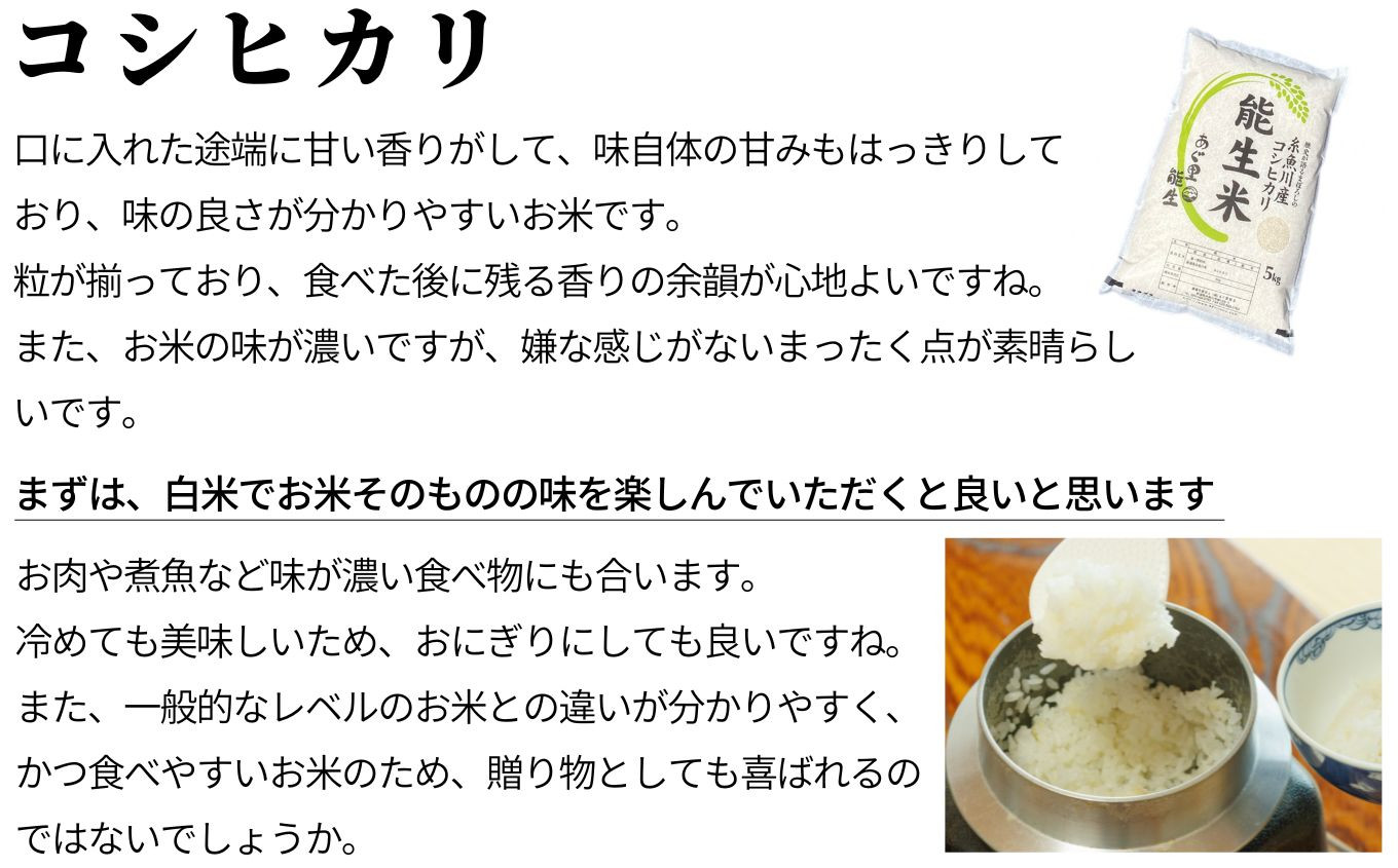 米 米糠 米ぬか 飼料 餌 100サイズ 約15kg 埼玉県産の米ぬかです - 米