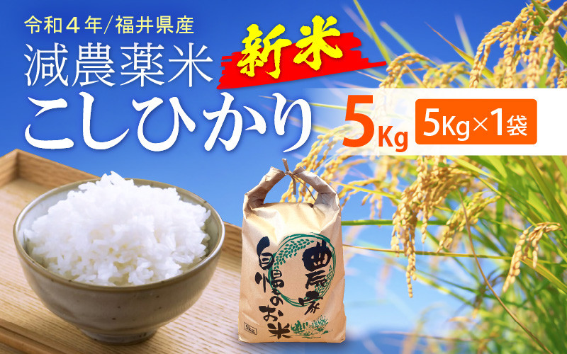 まゆさま専用 お米 H29 愛媛県産ヒノヒカリ 白米 100㎏米/穀物 - 米/穀物