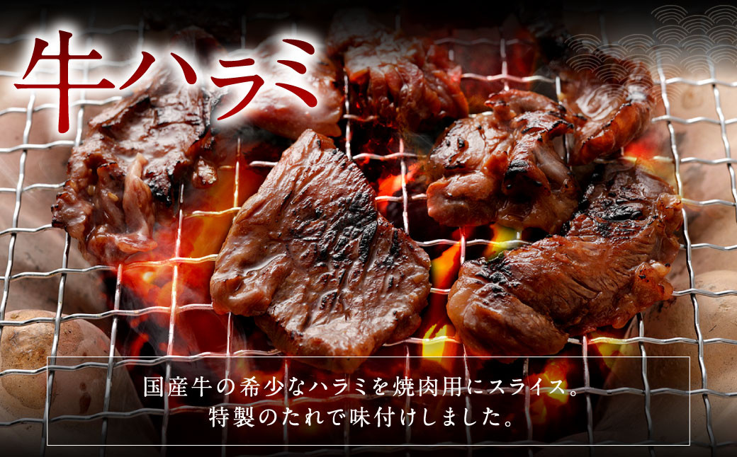 ふるさと納税 大人気 ファミリー向け 焼肉セット 牛たん 牛ハラミ肉 合計1.48kg 大阪府泉佐野市 通販 