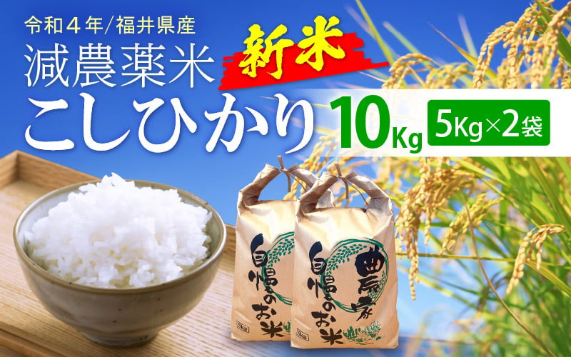 化成肥料8-8-8 10kg 出荷のタイミングにより5kgｘ2袋になる場合がございます 【51%OFF!】