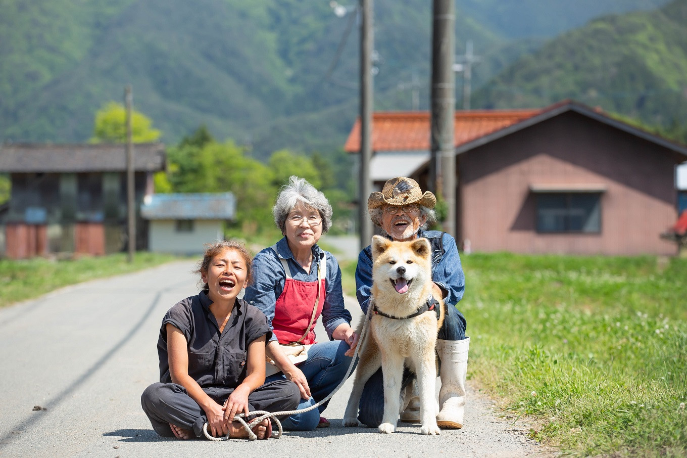 「田楽米」コシヒカリ100kg≪エコやまぐち50認証取得≫　A-008　ふるさと納税　山口市　山口県　価格比較