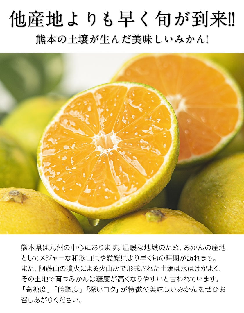 訳ありみかん 約5kg(2Lサイズ) (荒尾市産含む)《30日以内に順次出荷(土日祝除く)》熊本県 荒尾市 ご家庭用 訳あり 果物 柑橘 柑橘 みかん  蜜柑 ミカン 果物 フルーツ - 熊本県荒尾市｜ふるさとチョイス - ふるさと納税サイト