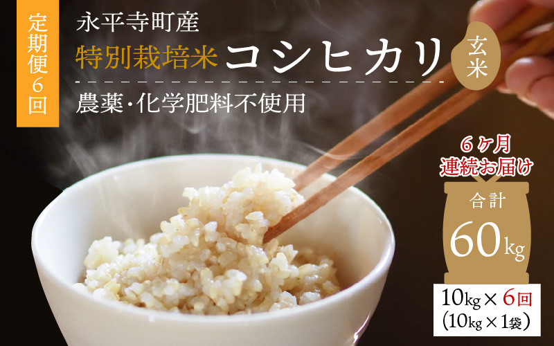 ねこチャン様　発芽玄米ご飯　玄米５kg  コシヒカリ　特別栽培①　農薬等不使用
