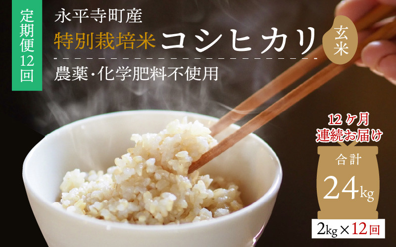 【大得価新品】★特別栽培米コシヒカリ玄米２４ｋｇ 米/穀物