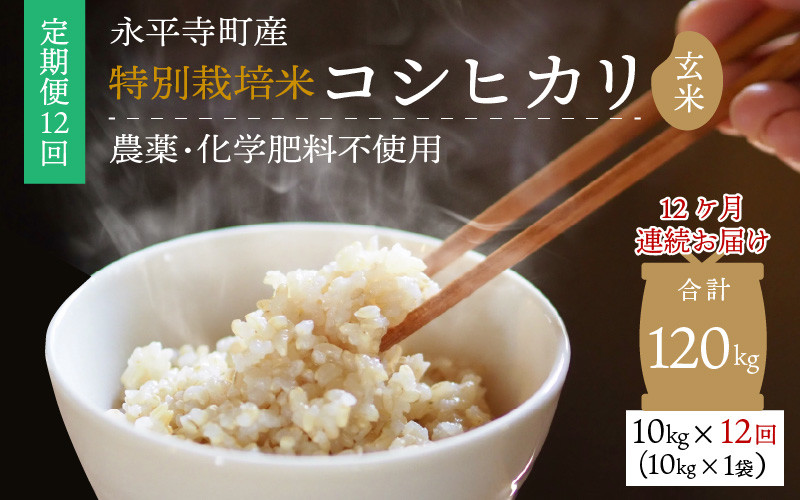 令和5年新米 自然栽培米 ササニシキ精米20kg 農薬不使用・肥料不使用無農薬玄米