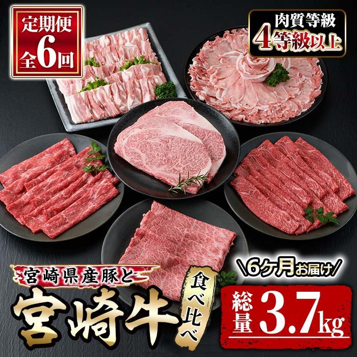 6か月間、毎月楽しめる宮崎牛と豚肉の定期便　寄附金額70,000円