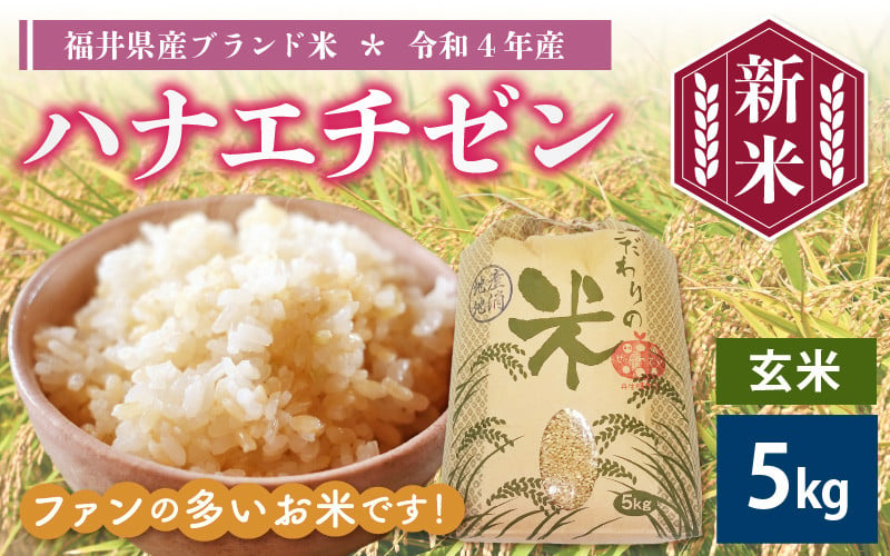 e30-a017] 新米 ハナエチゼン 5kg 令和4年 福井県産【玄米】【お米 はなえちぜん 華越前 5キロ】 - 福井県越前町｜ふるさとチョイス  - ふるさと納税サイト