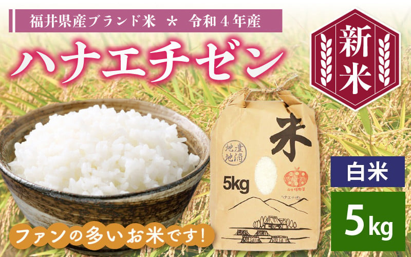 e30-a020] 新米 ハナエチゼン 5kg 令和4年 福井県産【白米】【お米 はなえちぜん 華越前 5キロ】 - 福井県越前町｜ふるさとチョイス  - ふるさと納税サイト