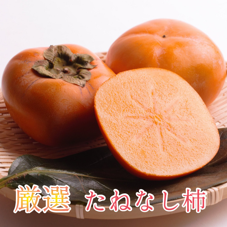 1 和歌山県 九度山産 種無し柿 家庭用 4kg