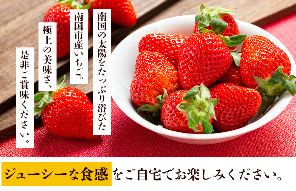 先行予約】高知県南国市産／いちご（2023年1月～発送） - 高知県南国市｜ふるさとチョイス - ふるさと納税サイト