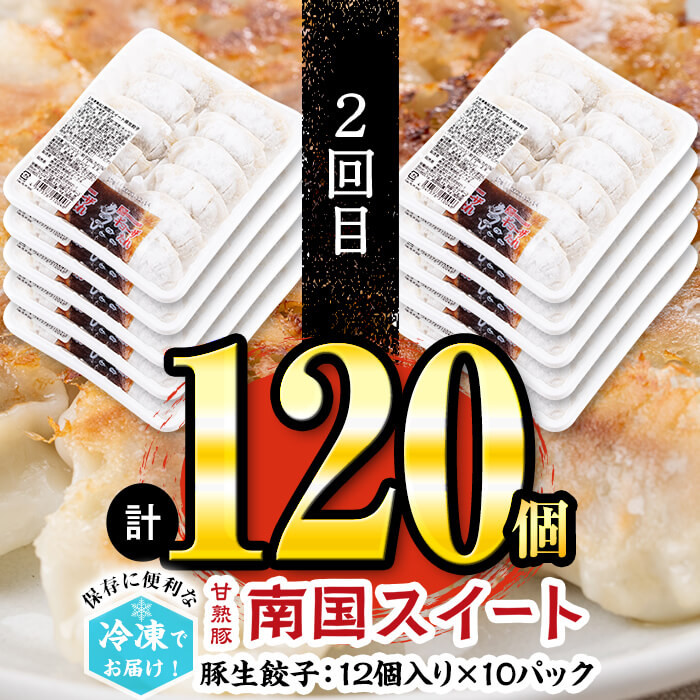 定期便・全3回】自慢の鹿児島県産餃子3種食べ比べセット 総計264個【訳あり含む】t003-017 - 鹿児島県志布志市｜ふるさとチョイス -  ふるさと納税サイト