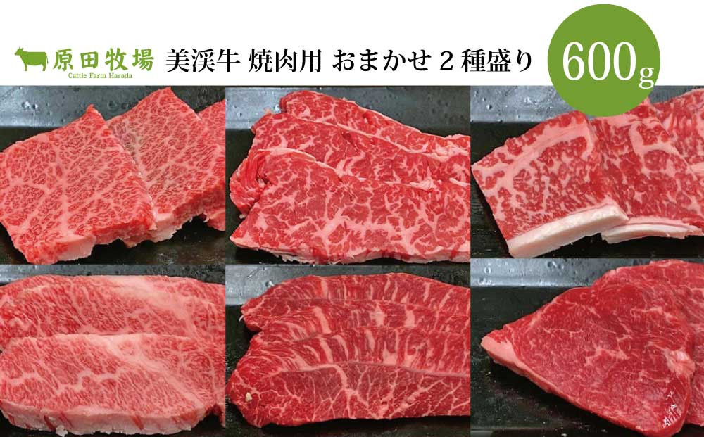 スーパーDEAL 美渓牛 焼き肉用 おまかせ3種 1kg ( イチボ ミスジ
