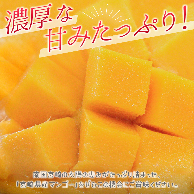 お歳暮 宮崎県産 完熟マンゴー セット バター 2kg フルーツ・果実 