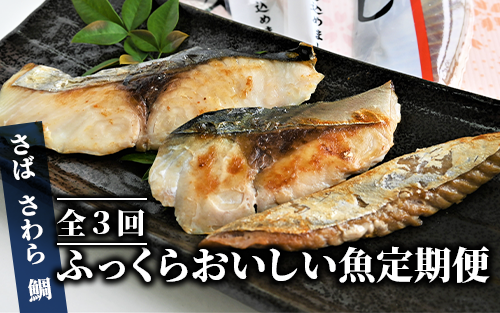 全３回定期便】ふっくらおいしい 魚 定期便 (浜上水産/Z-057) 薩摩 灰