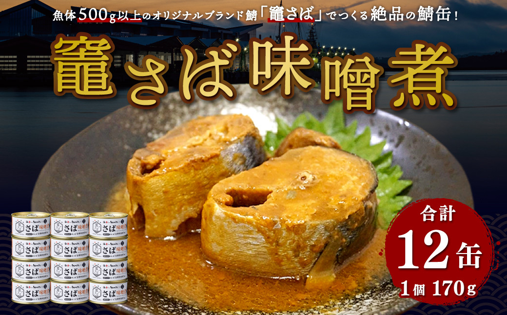 正規店新品鯖味噌丼様専用（Ａ&Ｋ社製） トイガン